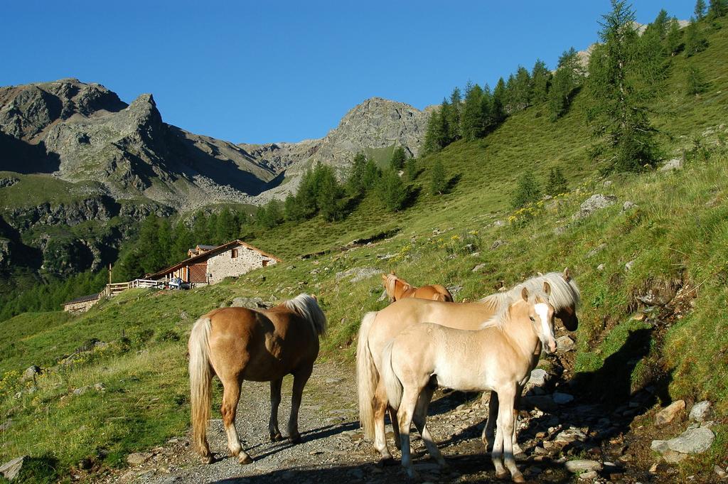 Appartamenti Rabbi Fonti Bagni di Rabbi Exterior foto
